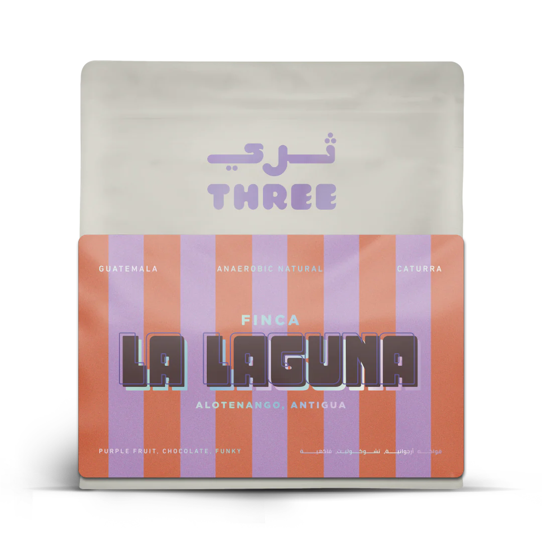 Guatemala La Laguna Caturra Anaerobic Natural